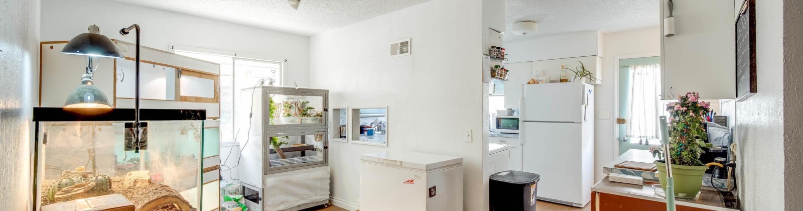 Mill St, Colfax, Washington 99163, 5 Bedrooms Bedrooms, ,5 BathroomsBathrooms,Tri-plex,For Sale,Mill St,282801