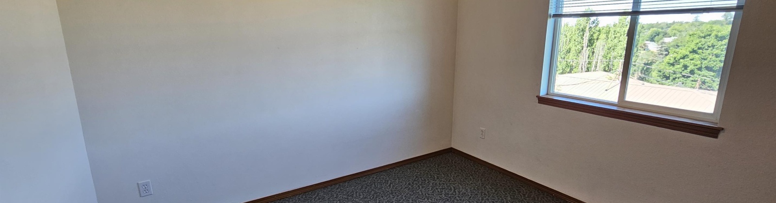 Indiana Street, Pullman, Washington 99163, 8 Bedrooms Bedrooms, ,4 BathroomsBathrooms,Duplex,For Sale,Indiana Street,283826