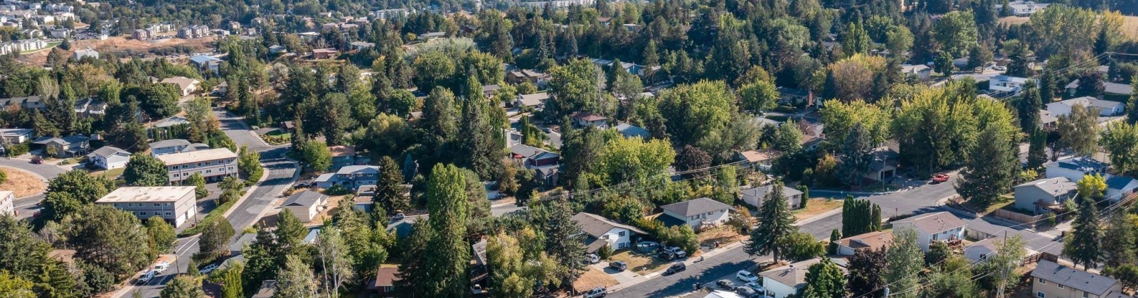 North Street, Pullman, Washington 99163, 6 Bedrooms Bedrooms, ,3 BathroomsBathrooms,Multi-family,For Sale,North Street,283702