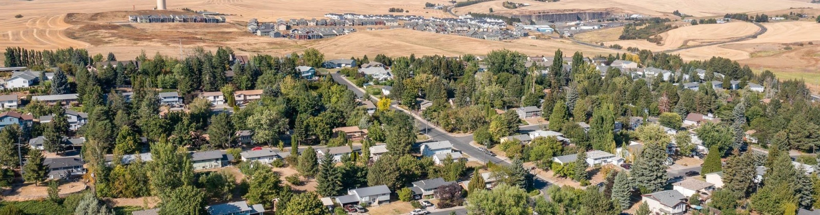 North Street, Pullman, Washington 99163, 6 Bedrooms Bedrooms, ,3 BathroomsBathrooms,Multi-family,For Sale,North Street,283702