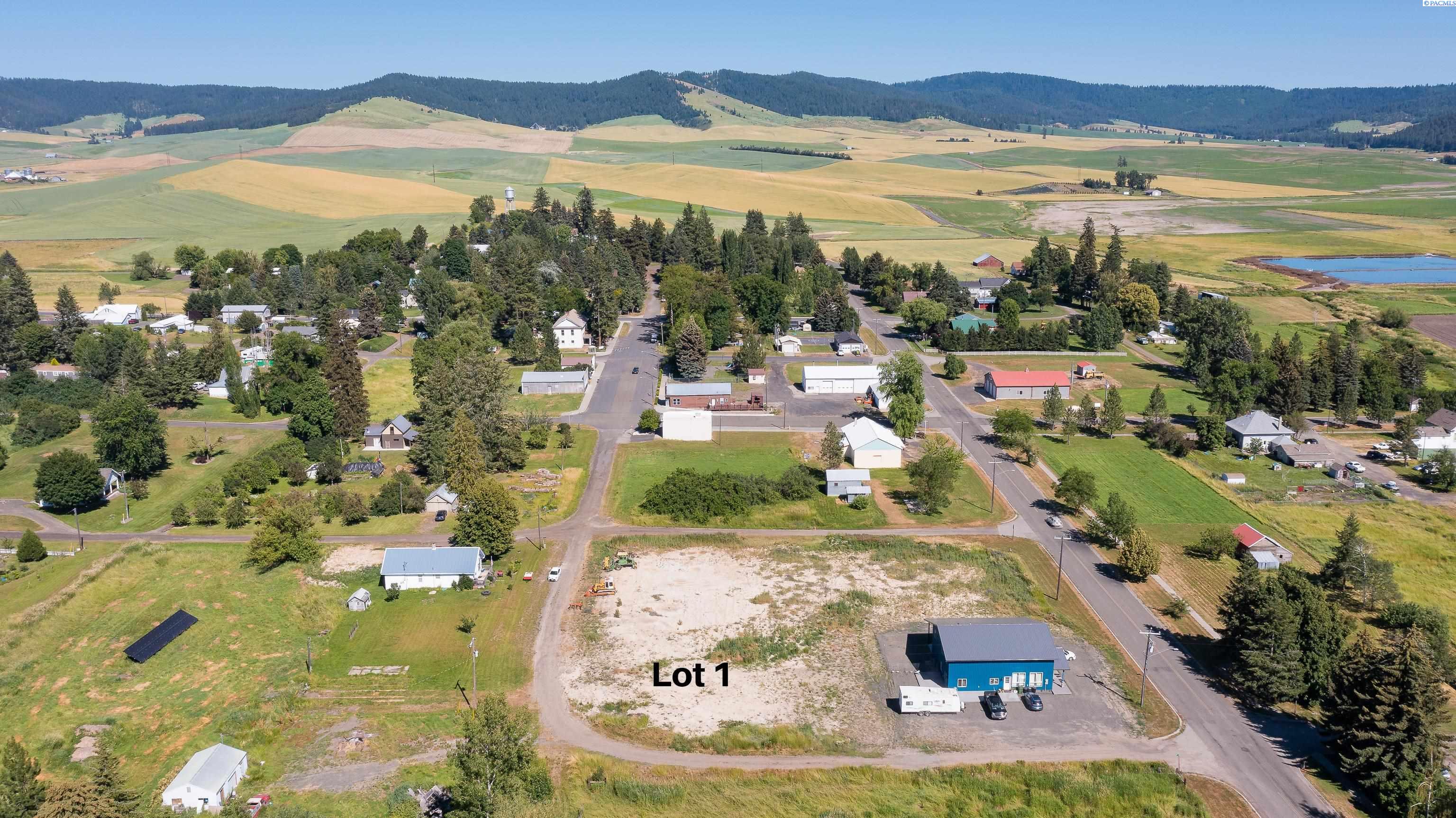 Main St. (Lot 1), Farmington, Washington 99128, 0 , 0 ,0,Land/lots,For Sale,Main St. (Lot 1),0,263244