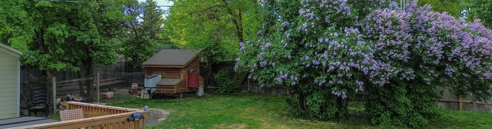 Houghton St., Palouse, Washington 99161, 3 Bedrooms Bedrooms, ,1 BathroomBathrooms,Site Built-owned Lot,For Sale,Houghton St.,282244