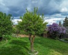 Houghton St., Palouse, Washington 99161, 3 Bedrooms Bedrooms, ,1 BathroomBathrooms,Site Built-owned Lot,For Sale,Houghton St.,282244