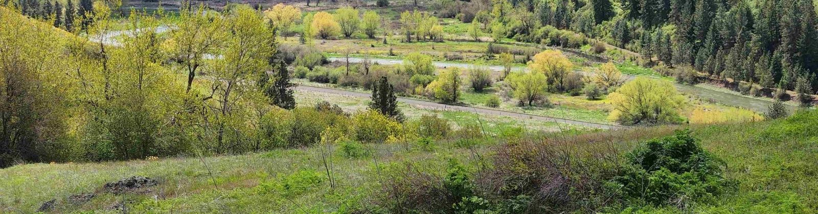 Red Tail Ridge, Colfax, Washington 99111, ,Residential,For Sale,Red Tail Ridge,283372
