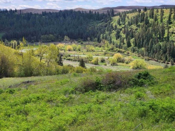 Red Tail Ridge, Colfax, Washington 99111, ,Residential,For Sale,Red Tail Ridge,283372