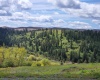 Red Tail Ridge, Colfax, Washington 99111, ,Residential,For Sale,Red Tail Ridge,283372