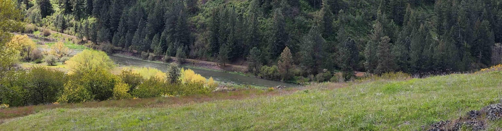 Red Tail Ridge, Colfax, Washington 99111, ,Residential,For Sale,Red Tail Ridge,283372