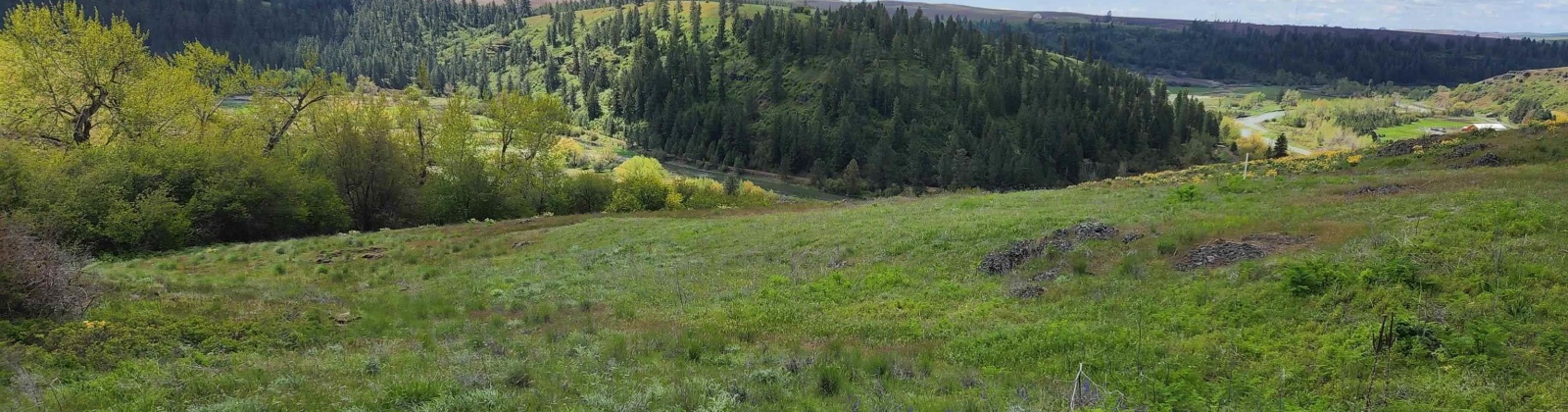 Red Tail Ridge, Colfax, Washington 99111, ,Residential,For Sale,Red Tail Ridge,283372