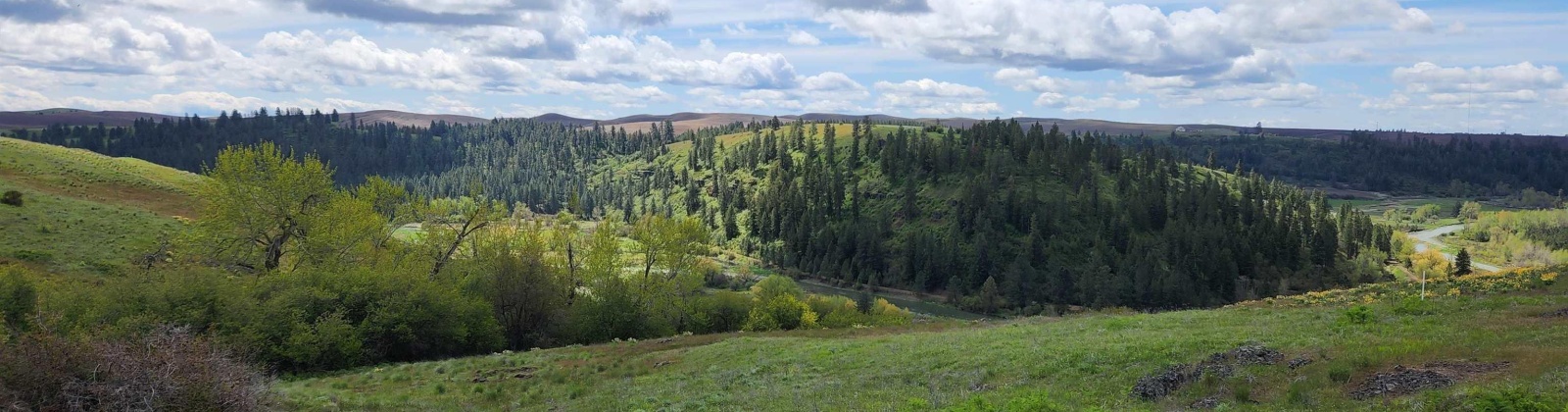 Red Tail Ridge, Colfax, Washington 99111, ,Residential,For Sale,Red Tail Ridge,283372