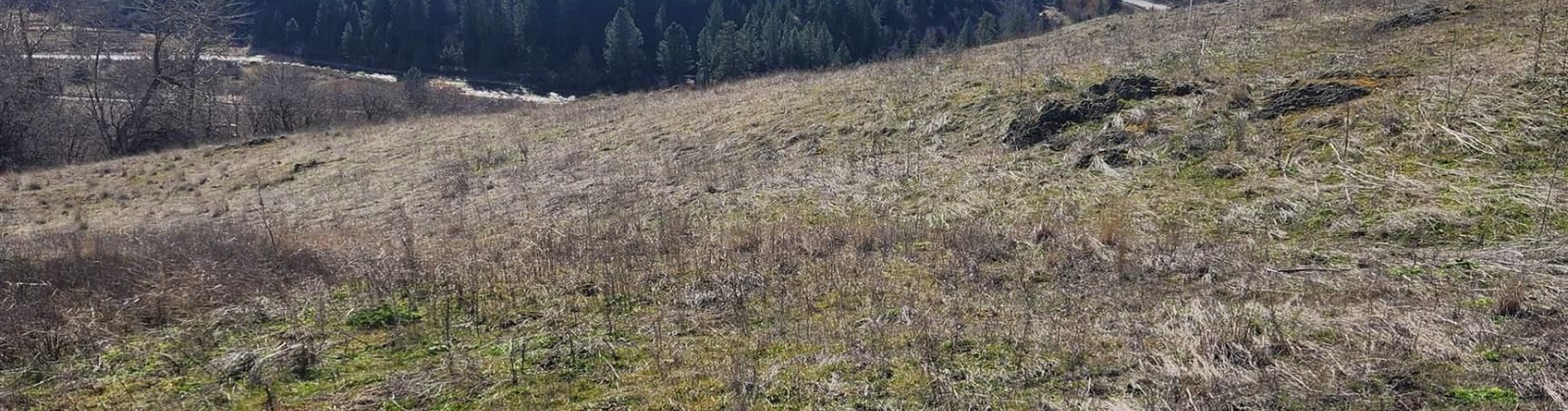 Red Tail Ridge, Colfax, Washington 99111, ,Residential,For Sale,Red Tail Ridge,283372