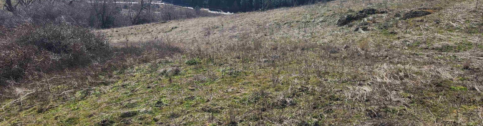 Red Tail Ridge, Colfax, Washington 99111, ,Residential,For Sale,Red Tail Ridge,283372