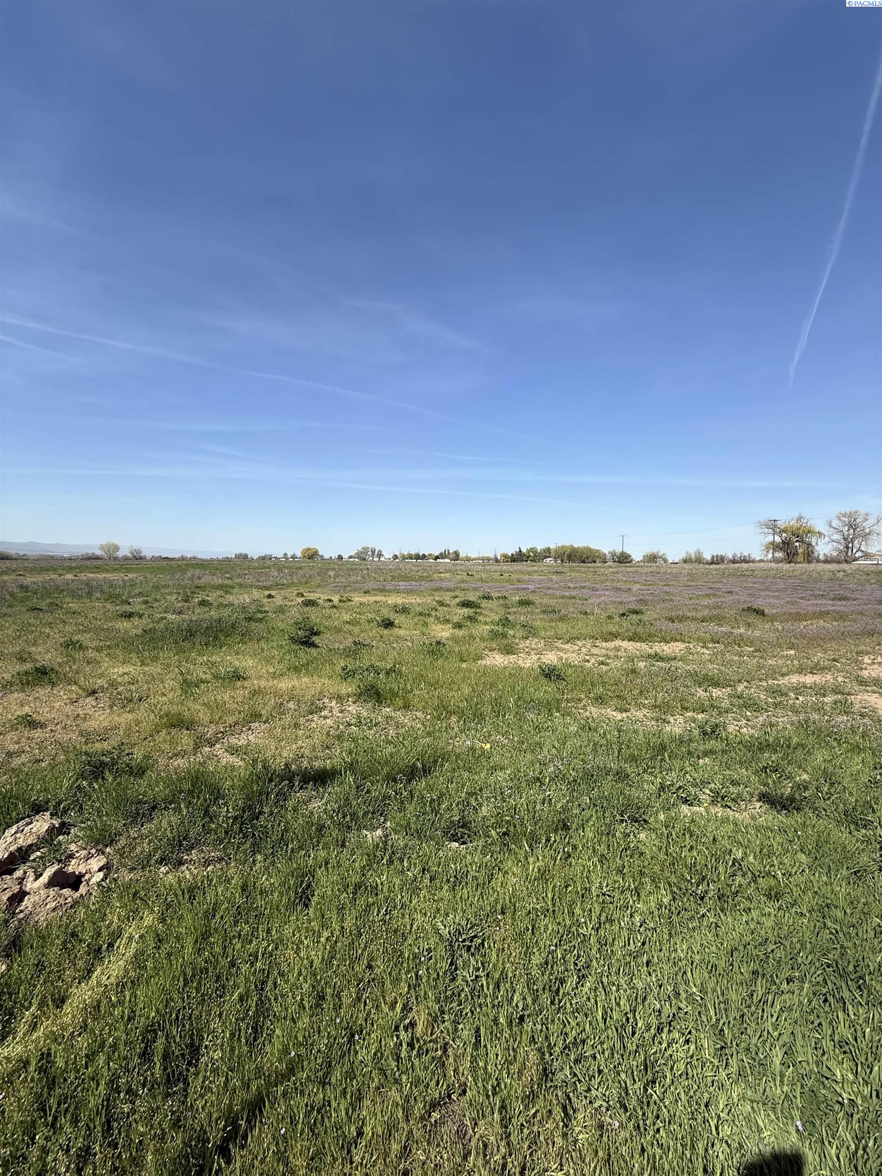 Wigus Rd. Lot 1, Prosser, Washington 99350, 0 , 0 ,0,Land/lots,For Sale,Wigus Rd. Lot 1,0,283375
