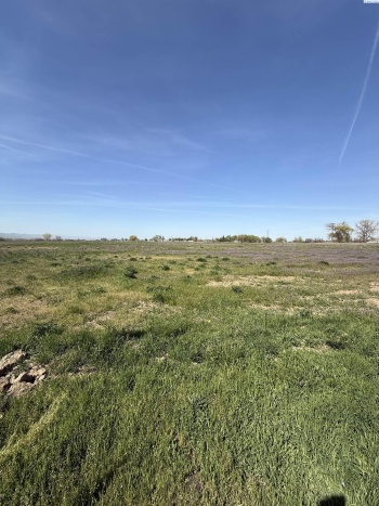 Wigus Rd. Lot 1, Prosser, Washington 99350, ,Residential,For Sale,Wigus Rd. Lot 1,283375