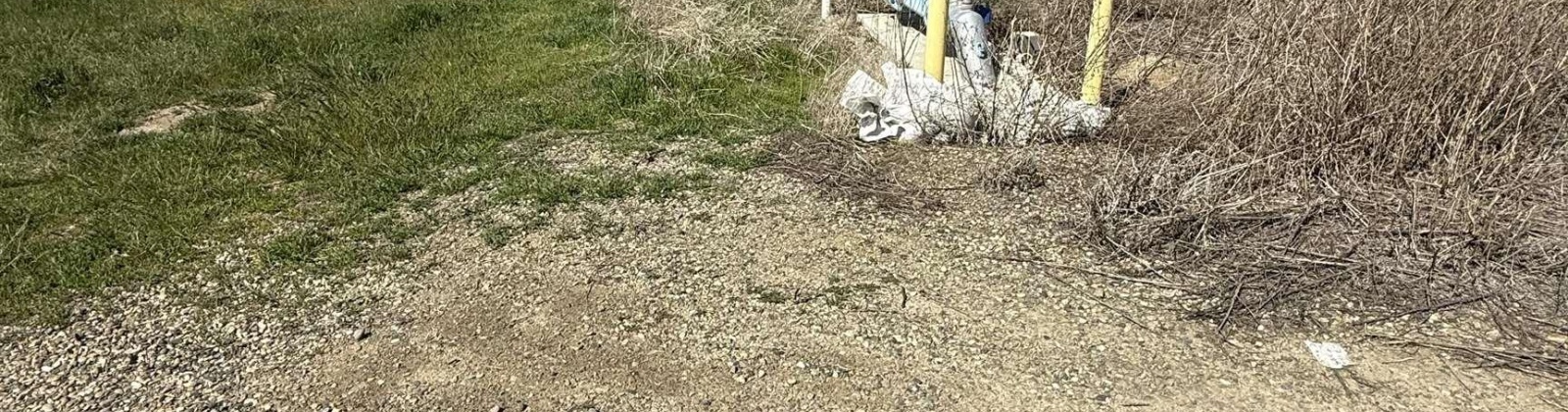 Wigus Rd. Lot 1, Prosser, Washington 99350, ,Residential,For Sale,Wigus Rd. Lot 1,283375