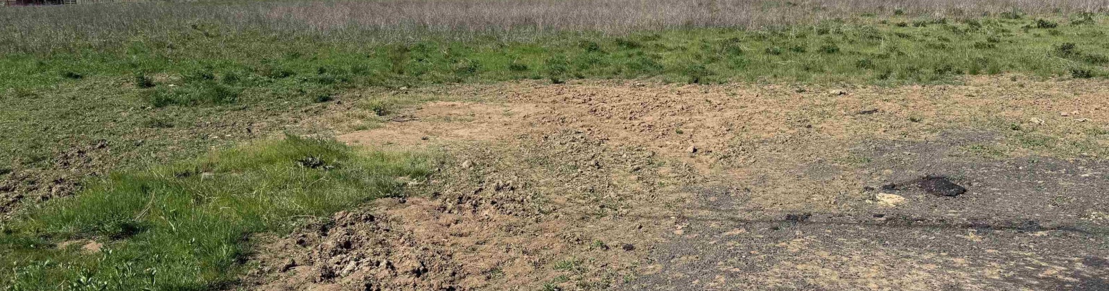 WILGUS RD. LOT 3, Prosser, Washington 99350, ,Residential,For Sale,WILGUS RD. LOT 3,283400
