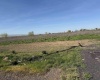 WILGUS RD. LOT 3, Prosser, Washington 99350, ,Residential,For Sale,WILGUS RD. LOT 3,283400