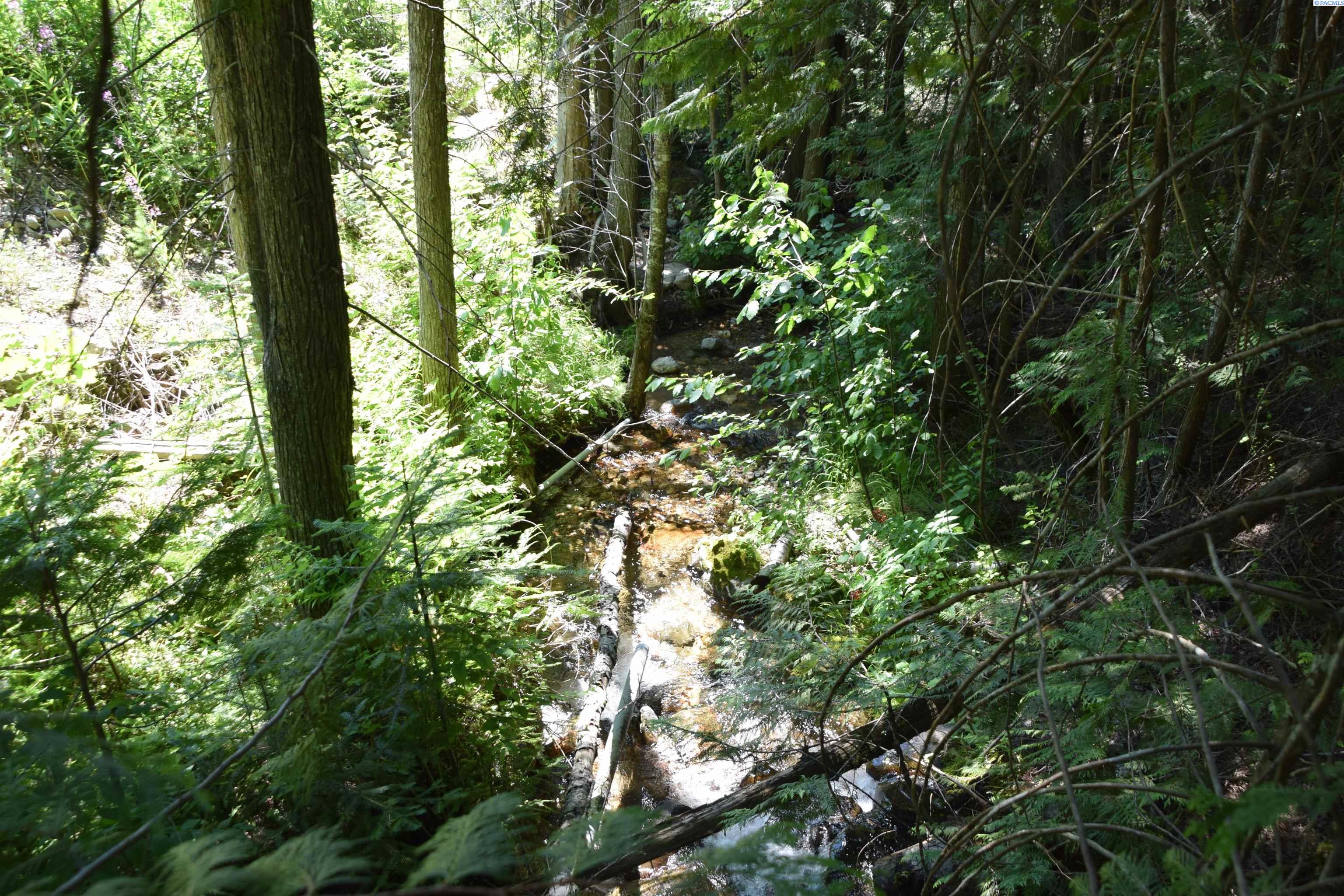 Comstock Mine Rd, Colville, Washington 99114, 0 , 0 ,0,Special Use,For Sale,Comstock Mine Rd,0,283414