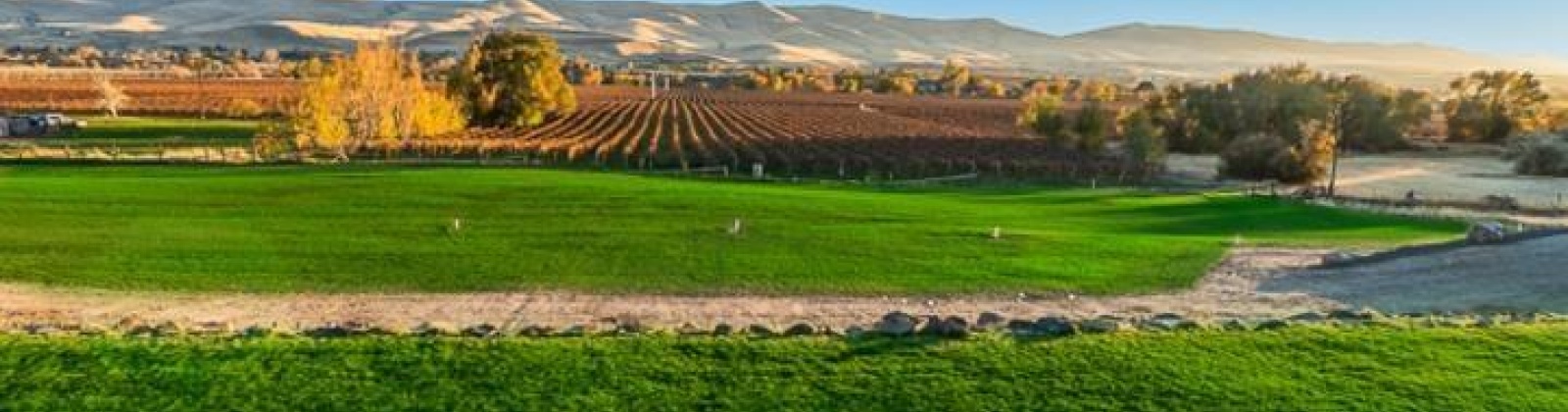 North River Rd, Prosser, Washington 99350, 3 Bedrooms Bedrooms, ,2 BathroomsBathrooms,Site Built-owned Lot,For Sale,North River Rd,281617