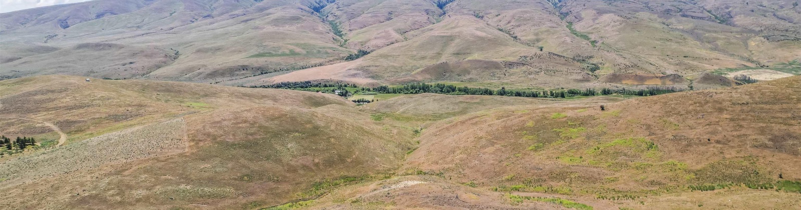 Wenas Rd, Selah, Washington 98942, ,Agricultural,For Sale,Wenas Rd,281344