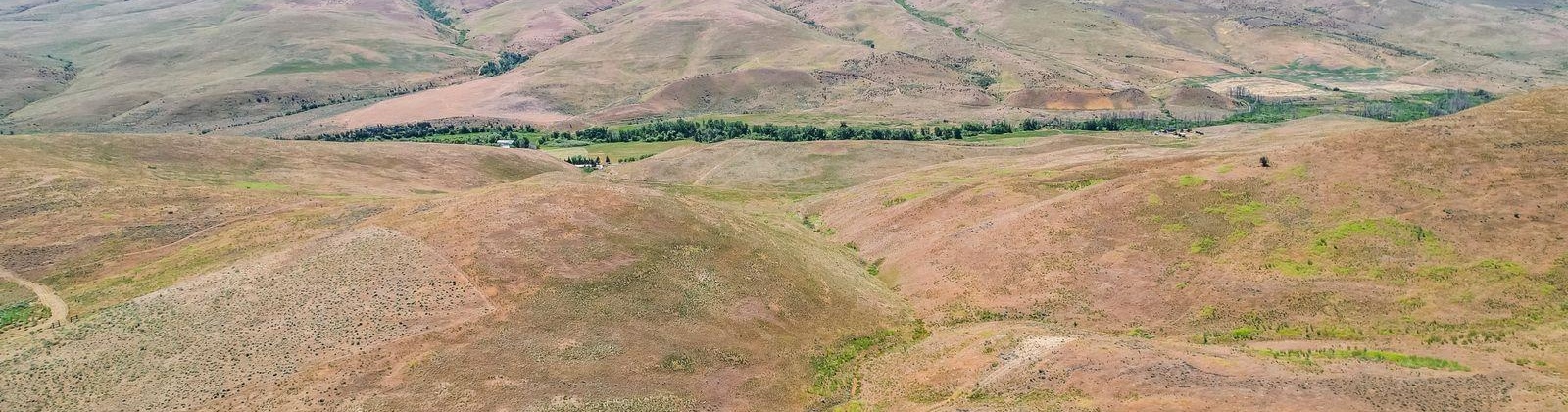Wenas Rd, Selah, Washington 98942, ,Agricultural,For Sale,Wenas Rd,281344