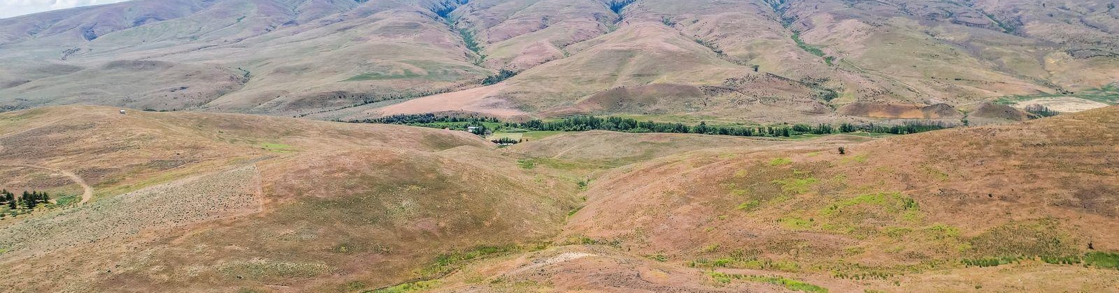 Wenas Rd, Selah, Washington 98942, ,Agricultural,For Sale,Wenas Rd,281344