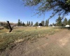 Fourth St, Malden, Washington 99149, ,Residential,For Sale,Fourth St,281425
