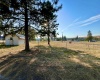 Fifth St, Malden, Washington 99149, ,Other,For Sale,Fifth St,281426
