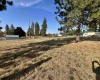 Fifth St, Malden, Washington 99149, ,Other,For Sale,Fifth St,281426