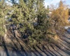 Truax St, Tekoa, Washington 99033, ,Residential,For Sale,Truax St,281451