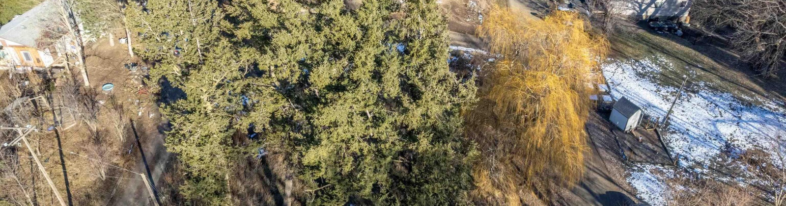 Truax St, Tekoa, Washington 99033, ,Residential,For Sale,Truax St,281451