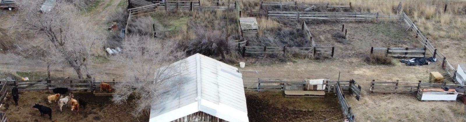 Grover PR NE, West Richland, Washington 99353, ,Agricultural,For Sale,Grover PR NE,281521
