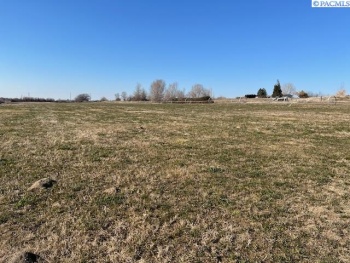 Bunn RD, Prosser, Washington 99350, ,Agricultural,For Sale,Bunn RD,281541