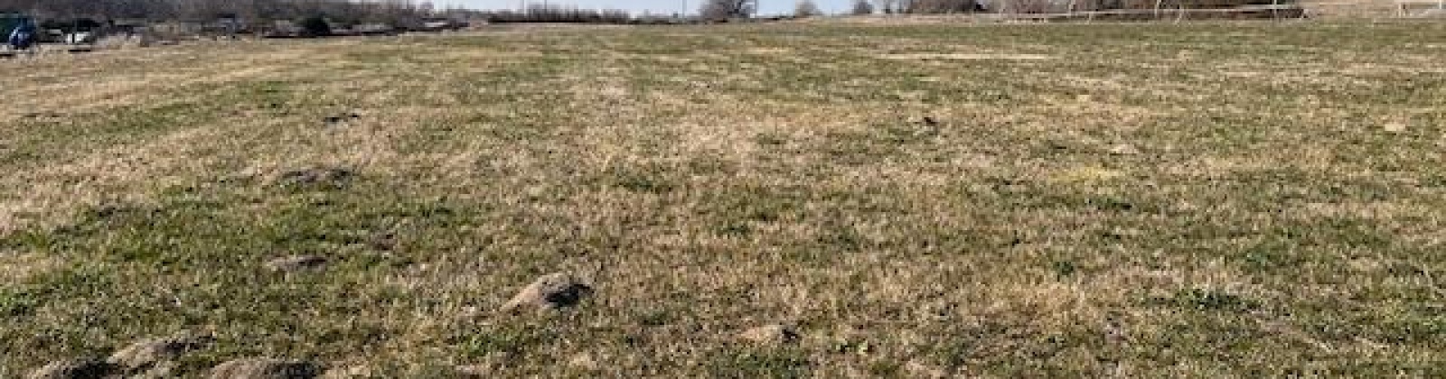 Bunn RD, Prosser, Washington 99350, ,Agricultural,For Sale,Bunn RD,281541