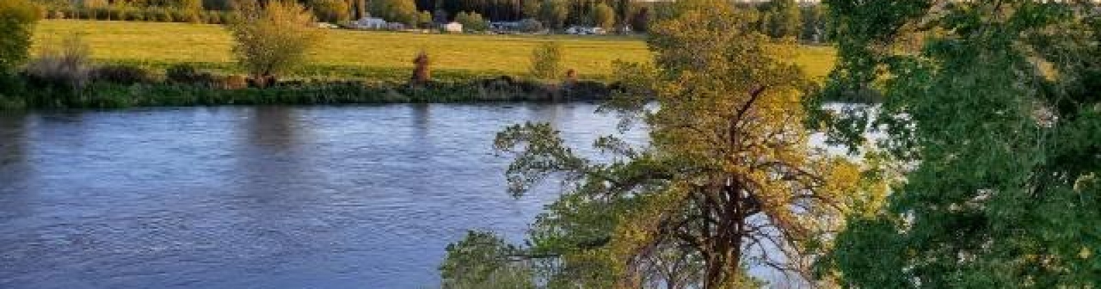 Demoss Rd., Benton City, Washington 99320, ,Residential,For Sale,Demoss Rd.,281578