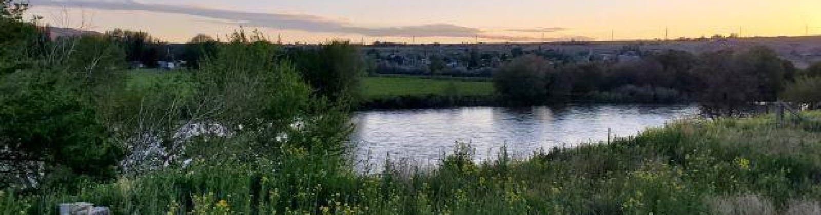 Demoss Rd., Benton City, Washington 99320, ,Residential,For Sale,Demoss Rd.,281578