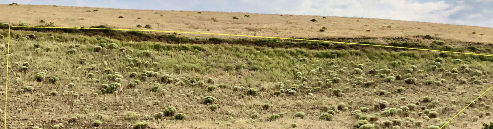 Palouse Ct- Lot 224, Kennewick, Washington 99337, ,Residential,For Sale,Palouse Ct- Lot 224,263419