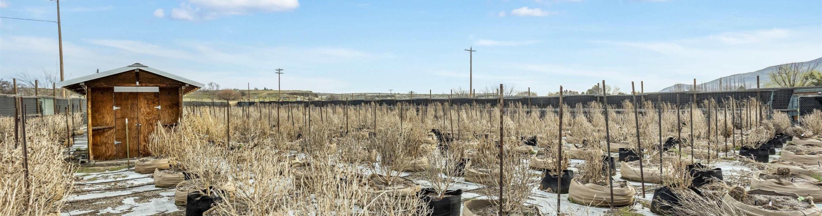 Hosko Road, Prosser, Washington 99350, ,Other,For Sale,Hosko Road,282570