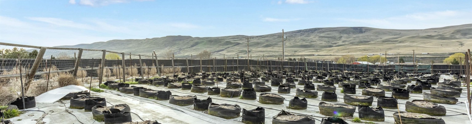 Hosko Road, Prosser, Washington 99350, ,Other,For Sale,Hosko Road,282570