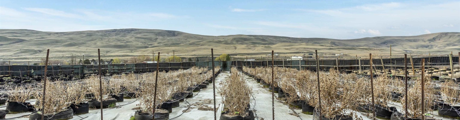 Hosko Road, Prosser, Washington 99350, ,Other,For Sale,Hosko Road,282570