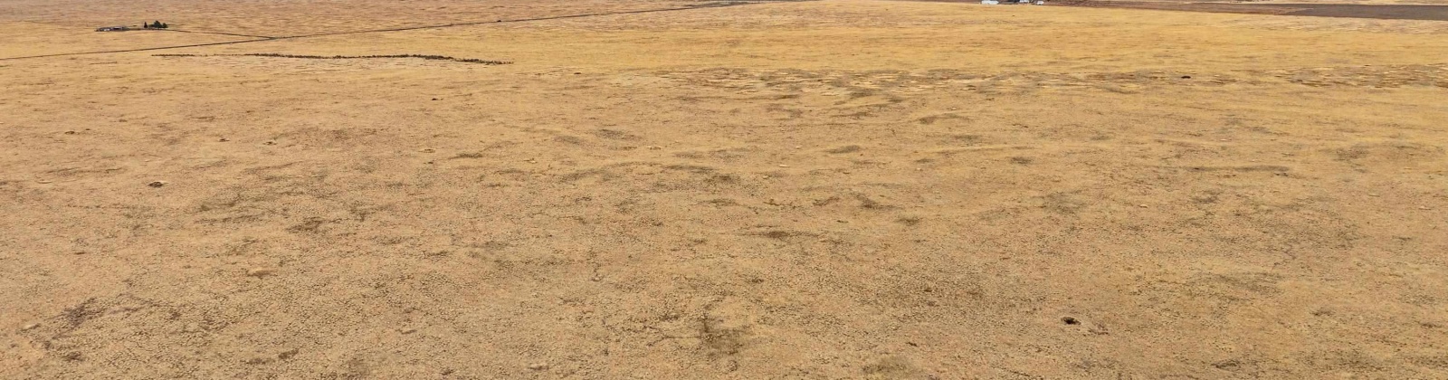 Snyder Rd, Ritzville, Washington 99169, ,Agricultural Land,For Sale,Snyder Rd,281642