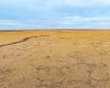 Hill Rd, Ritzville, Washington 99169, ,Agricultural Land,For Sale,Hill Rd,281643
