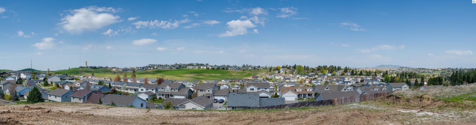 Panorama Drive, Pullman, Washington 99163, 3 Bedrooms Bedrooms, ,2 BathroomsBathrooms,For Sale,Panorama Drive,283792