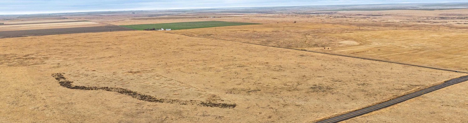 Hill Rd, Ritzville, Washington 99169, ,Agricultural Land,For Sale,Hill Rd,281645