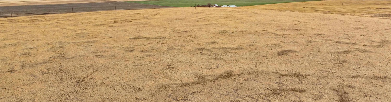 Snyder Rd, Ritzville, Washington 99169, ,Agricultural Land,For Sale,Snyder Rd,281647