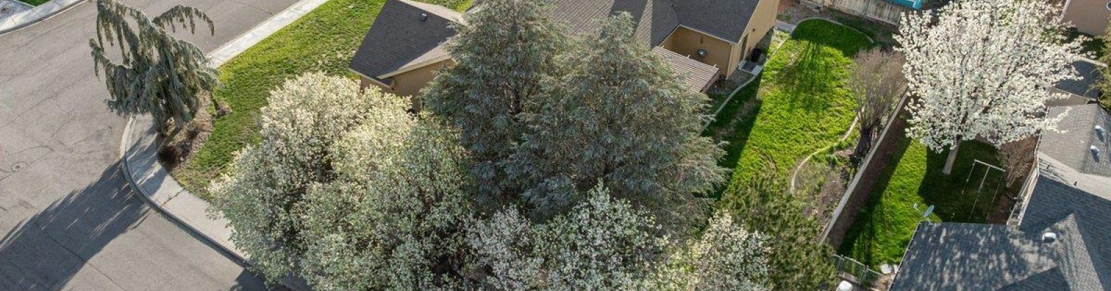 Metaline, Kennewick, Washington 99336, 3 Bedrooms Bedrooms, ,2 BathroomsBathrooms,For Sale,Metaline,282967