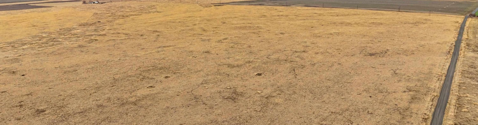 Snyder Rd, Ritzville, Washington 99169, ,Agricultural Land,For Sale,Snyder Rd,281651