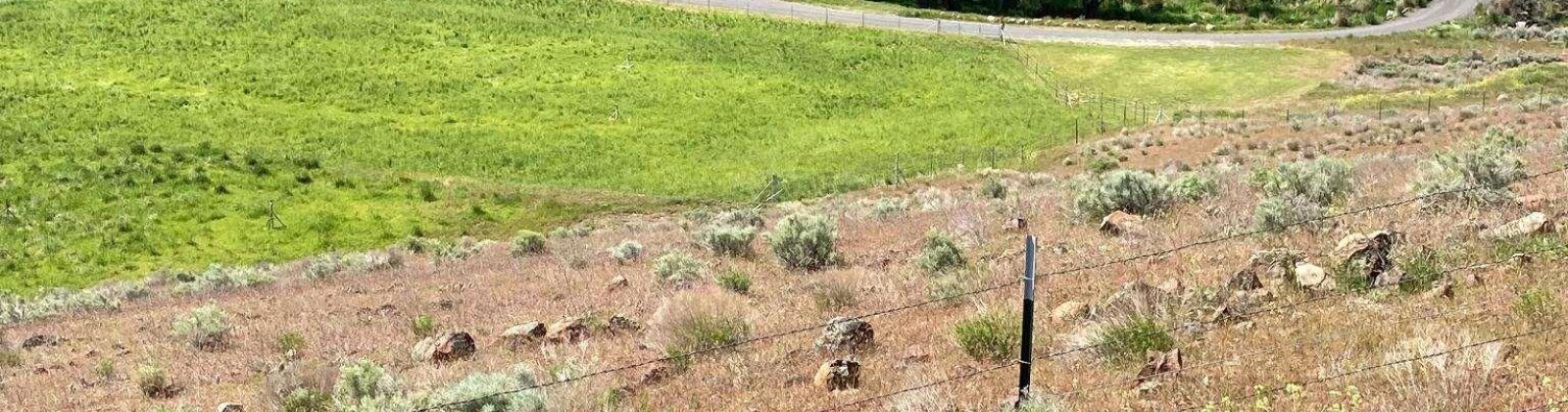Cactus Lane, Lewiston, Idaho 83501, ,Residential,For Sale,Cactus Lane,281742