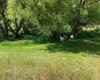 Cactus Lane, Lewiston, Idaho 83501, ,Residential,For Sale,Cactus Lane,281742