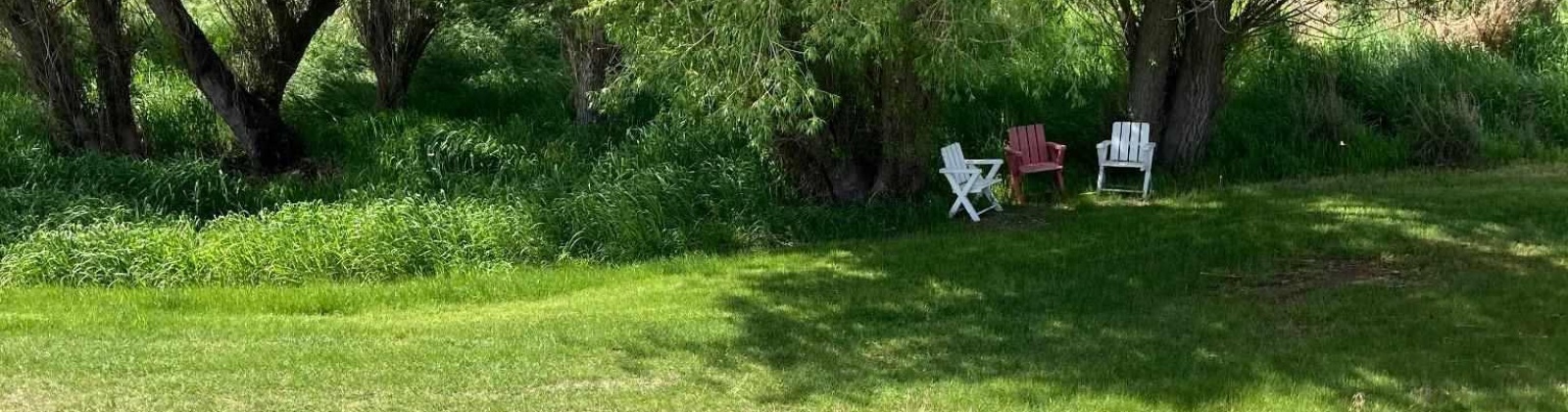 Cactus Lane, Lewiston, Idaho 83501, ,Residential,For Sale,Cactus Lane,281742