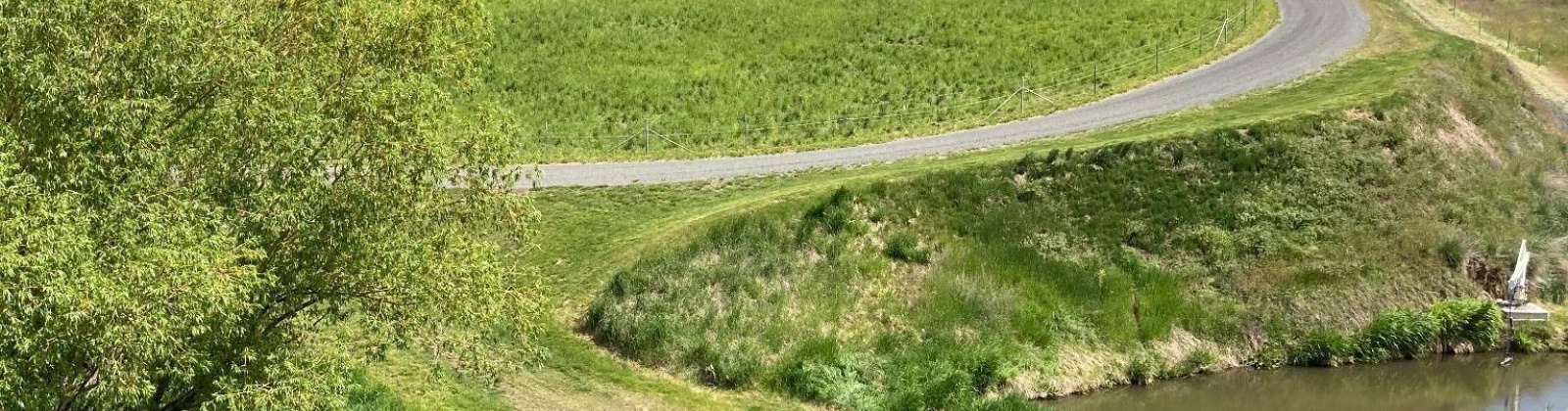 Cactus Lane, Lewiston, Idaho 83501, ,Residential,For Sale,Cactus Lane,281742